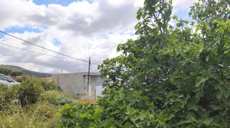 Santa Cruz de Tenerife - Candelaria - 222m2