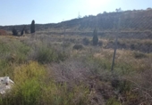 Sòl urbà en venda a la España, Mutxamel, ref.: TR408502 foto