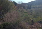 Sòl urbà en venda a la España, Mutxamel, ref.: TR408502 foto