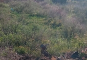 Sòl urbà en venda a la España, Mutxamel, ref.: TR408502 foto