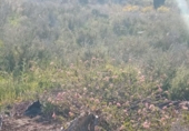Sòl urbà en venda a la España, Mutxamel, ref.: TR408502 foto