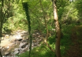Finca rústica en venda a la España, Dima, ref.: TR326838 foto
