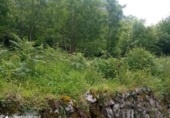 Finca rústica en venda a la España, Dima, ref.: TR326838 foto