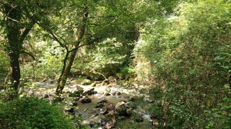 Cantabria - Los Corrales de Buelna - 125m2