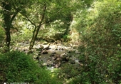 Finca rústica en venda a la España, Dima, ref.: TR326838 foto