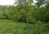 Finca rústica en venda a la España, Dima, ref.: TR326838 foto