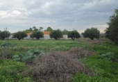 Parcel·la urbanitzable en venda a la España, Múrcia, ref.: TR405689 foto