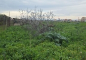 Parcel·la urbanitzable en venda a la España, Múrcia, ref.: TR405689 foto