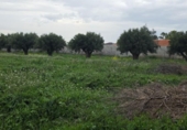 Parcel·la urbanitzable en venda a la España, Múrcia, ref.: TR405689 foto