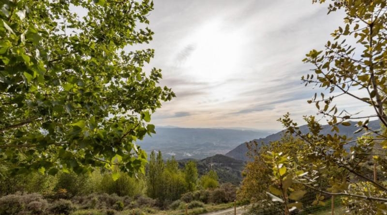 Granada - Nigüelas - 10000m2