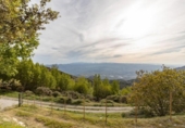Casa de campo con terreno en venta en la España, Nigüelas, ref: TR408553 foto