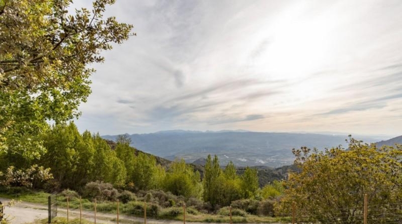 Granada - Nigüelas - 10000m2