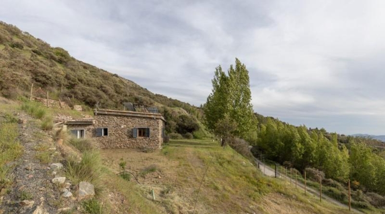 Granada - Nigüelas - 10000m2