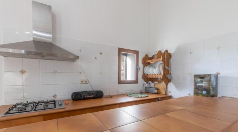 Granada - Nigüelas - 10000m2