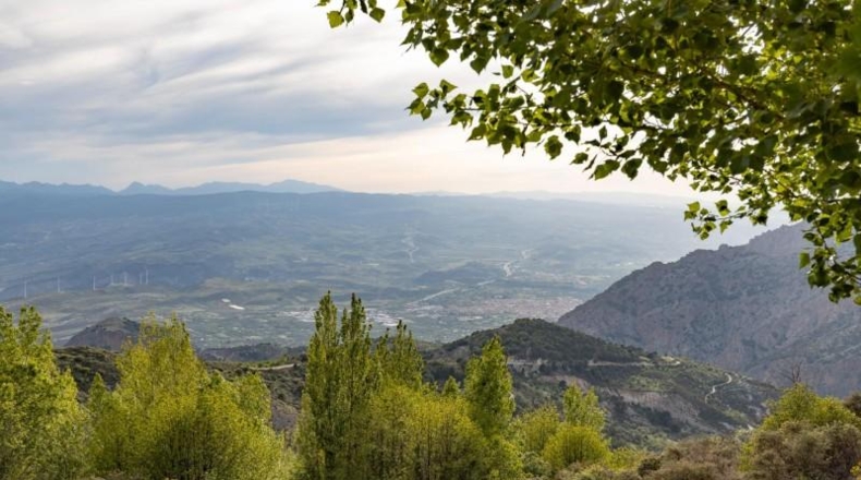 Granada - Nigüelas - 10000m2