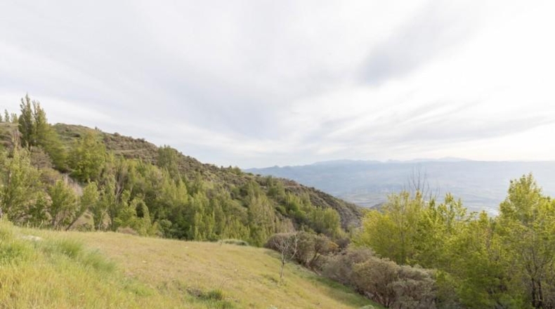 Granada - Nigüelas - 10000m2