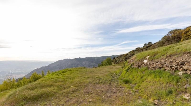 Granada - Nigüelas - 10000m2