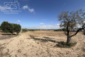 Almonte 15907&nbsp;м²