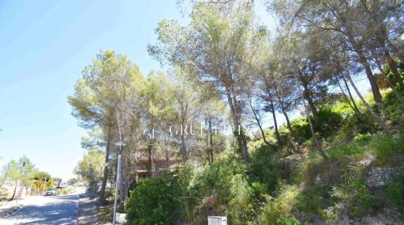 Barcelona - Sant Pere de Ribes - 550m2