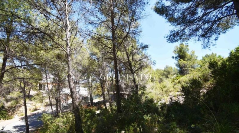 Barcelona - Sant Pere de Ribes - 550m2
