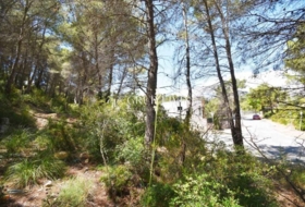 Sant Pere de Ribes 550&nbsp;m² 