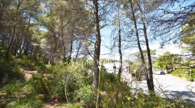 Barcelona - Sant Pere de Ribes - 550m2