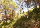 Sòl urbà en venda a la España, Sant Pere de Ribes, ref.: TR408575 foto