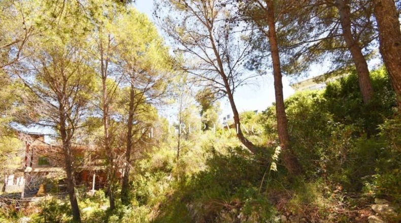 Barcelona - Sant Pere de Ribes - 550m2