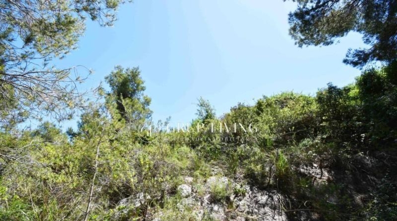Barcelona - Sant Pere de Ribes - 550m2