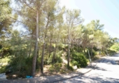 Sòl urbà en venda a la España, Sant Pere de Ribes, ref.: TR408575 foto