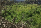 Urban land for sale on España, Manresa, ref: TR117510 photo