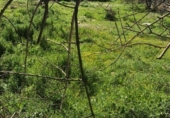 Urban land for sale on España, Manresa, ref: TR117510 photo