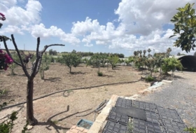 San Juan del Puerto 24092&nbsp;m²