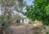 Detached villa with land for sale on España, Llíria, ref: TR408593 photo