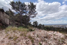 Alzira 797&nbsp;m² 