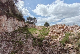 Alzira 797&nbsp;m² 