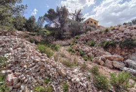 Alzira 797&nbsp;m² 