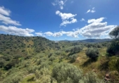 Casa de campo con terreno en venta en la España, Riogordo, ref: TR408608 foto