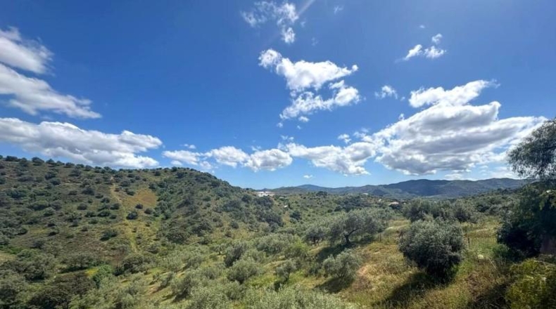 Málaga - Riogordo - 11673m2