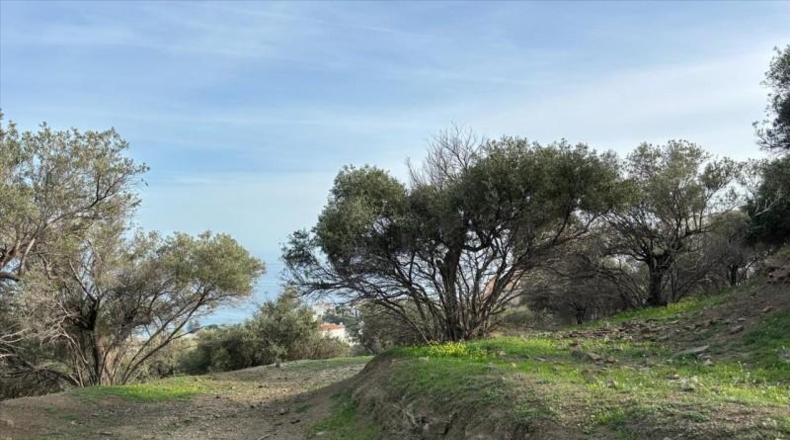 Málaga - Nerja - 10667m2