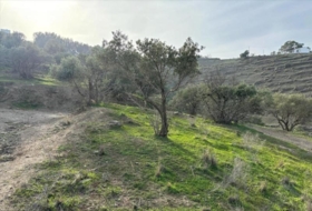 Nerja 10667&nbsp;m²