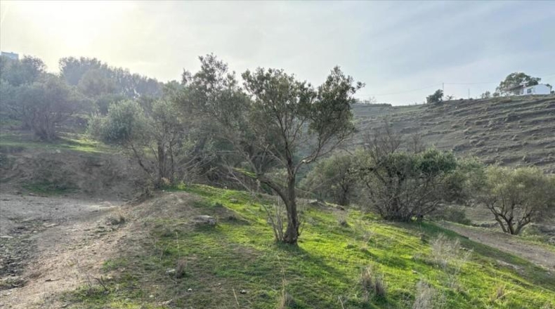 Málaga - Nerja - 10667m2