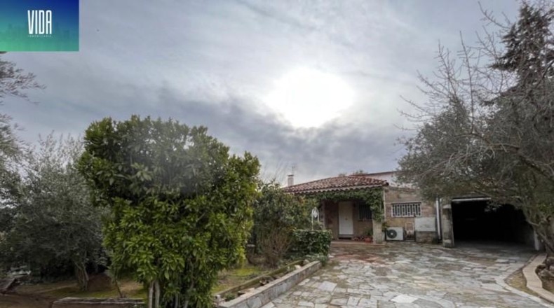 Barcelona - Fonollosa - 1000m2