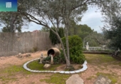 Xalet independent amb terreny en venda a la España, Fonollosa, ref.: TR142352 foto