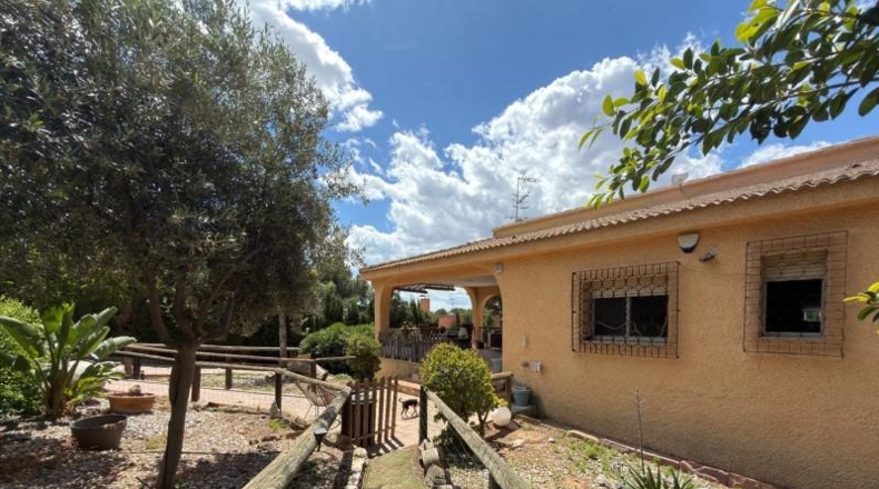 València - Náquera - 908m2