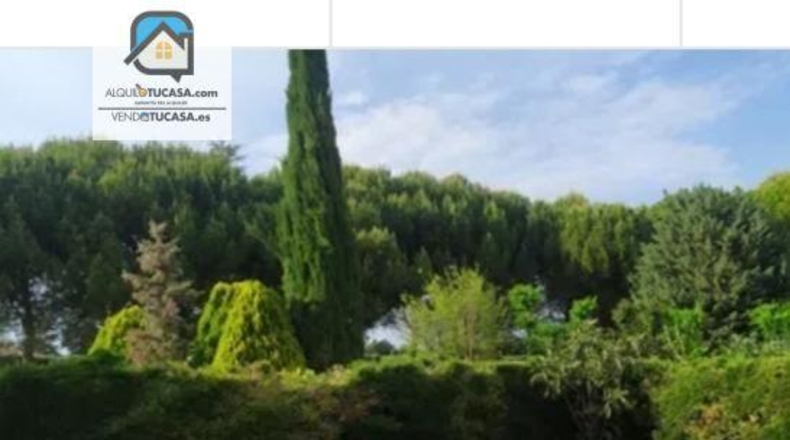 Palencia - Villamuriel de Cerrato - 220m2