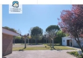 Chalet independiente con terreno en venta en la España, Villamuriel de Cerrato, ref: TR408689 foto