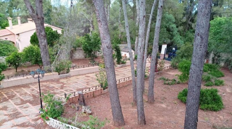 València - Alzira - 1915m2