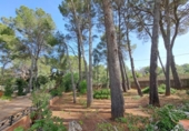 Xalet independent amb terreny en venda a la España, Alzira, ref.: TR408685 foto