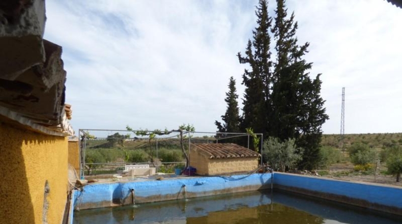 Almería - Uleila del Campo - 15600m2